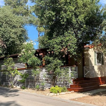 Pine And Lavander Home Biograd Na Moru Exterior photo